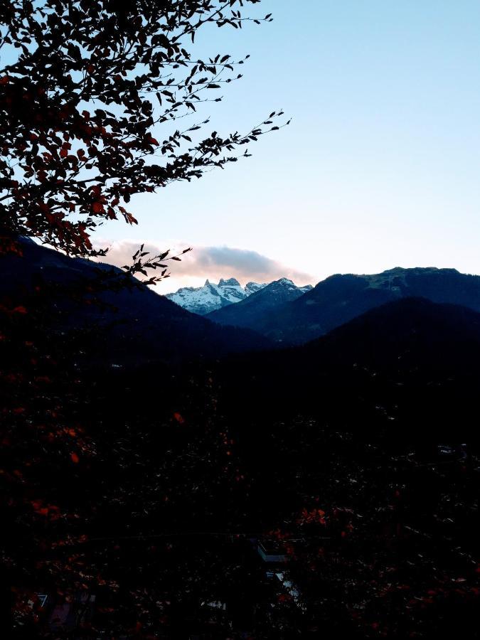 Bergmomente Montafon Sankt Gallenkirch