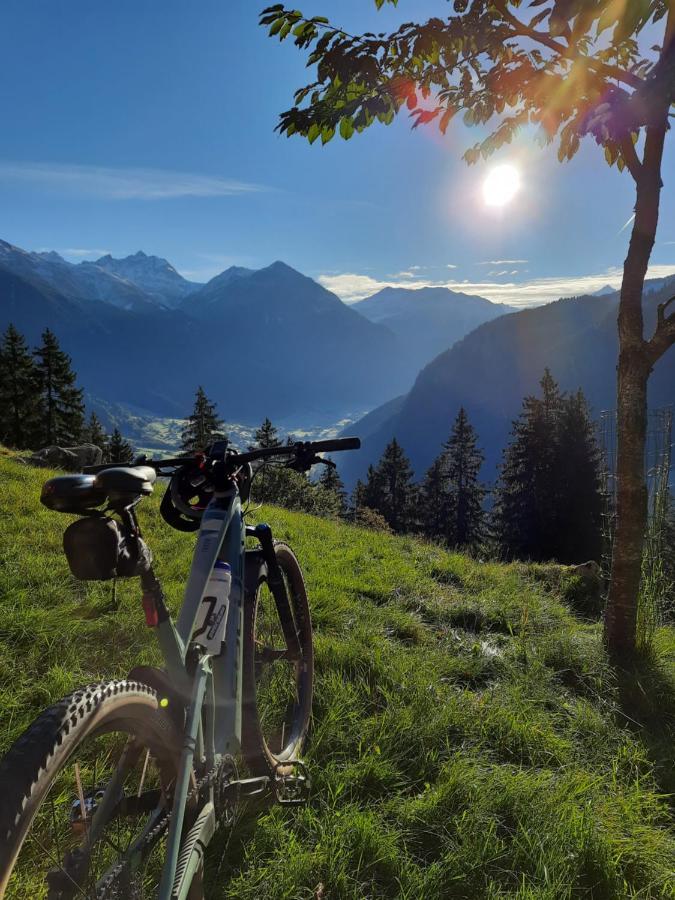 Bergmomente Montafon * Sankt Gallenkirch